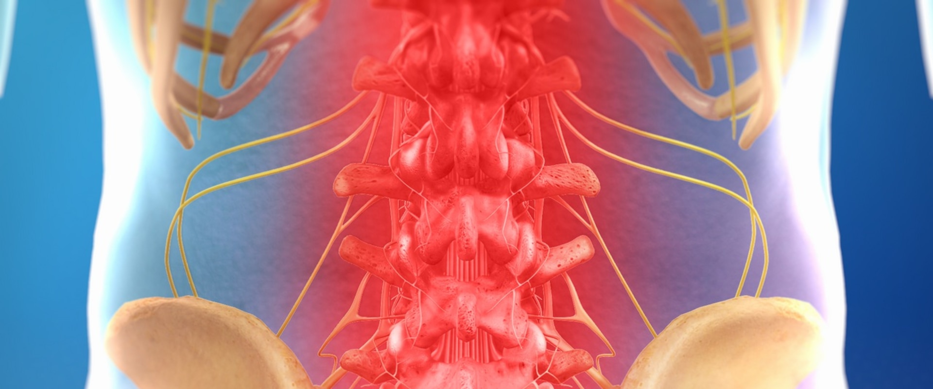 How long does it take for nerves to heal after spinal